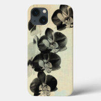 Orchidee erröten Platten III