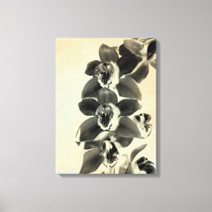 Orchidee erröten Platten IV Leinwanddruck