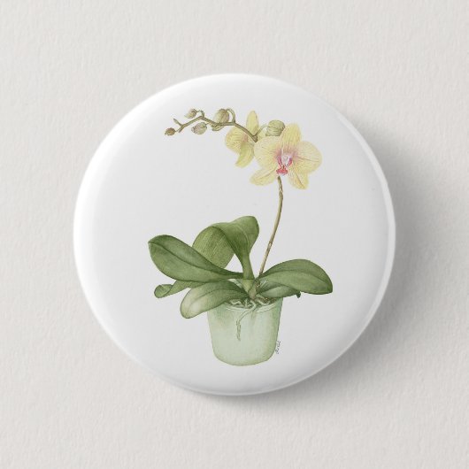 Orchidee in einem grünen button (Vorderseite)