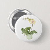 Orchidee in einem grünen button (Vorne & Hinten)