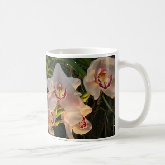 Orchidee Kaffeetasse (Rechts)
