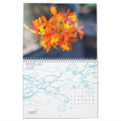 Orchidee Kalender (Feb 2027)