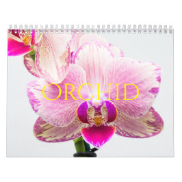 Orchidee Kalender