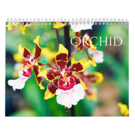Orchidee Kalender