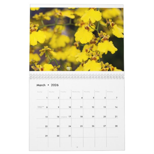 Orchidee Kalender (Mär 2026)