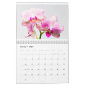 Orchidee Kalender (Jan 2027)