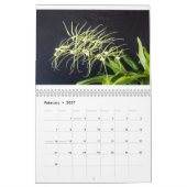 Orchidee Kalender (Feb 2027)
