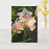 Orchidee Karte (Gelbe Blume)
