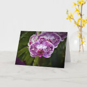 Orchidee, Karte (Gelbe Blume)