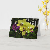 Orchidee, Karte (Gelbe Blume)
