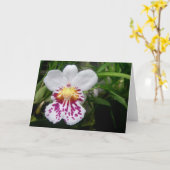 Orchidee Karte (Gelbe Blume)