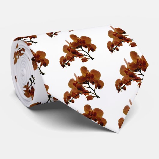 Orchidee Krawatte (Gerollt)