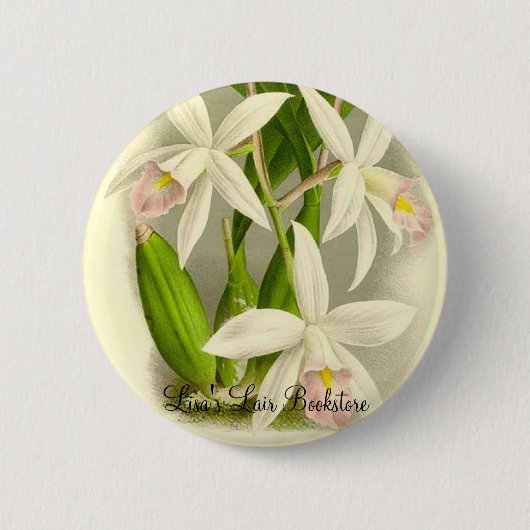 Orchidee - Laelia Anceps Button (Vorderseite)