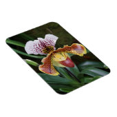 Orchidee Magnet (Rechte Seite)