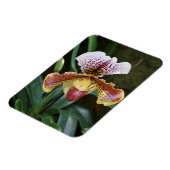 Orchidee Magnet (Linke Seite)