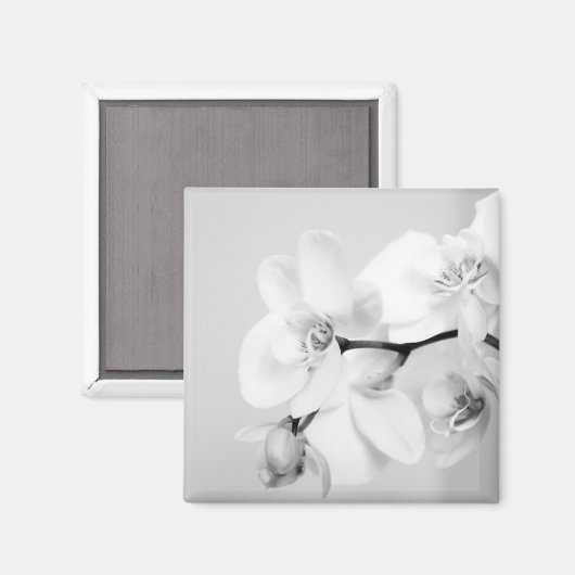 Orchidee Magnet (Vorderseite/Rückseite)