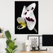 Orchidee mit Wassertropfen Poster (Heimbüro)