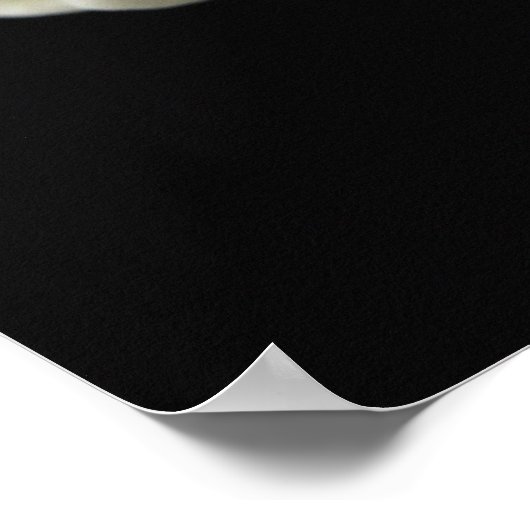 Orchidee mit Wassertropfen Poster (Ecke)