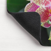 Orchidee Mousepad (Ecke)