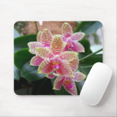 Orchidee Mousepad (Mit Mouse)
