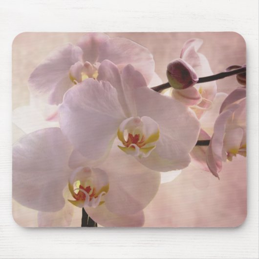Orchidee mousepad (Vorne)