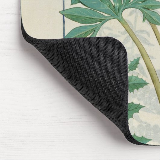 Orchidee Mousepad (Ecke)