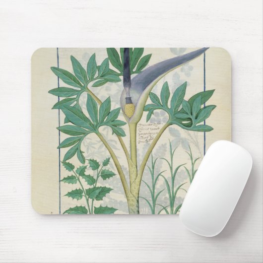 Orchidee Mousepad (Mit Mouse)