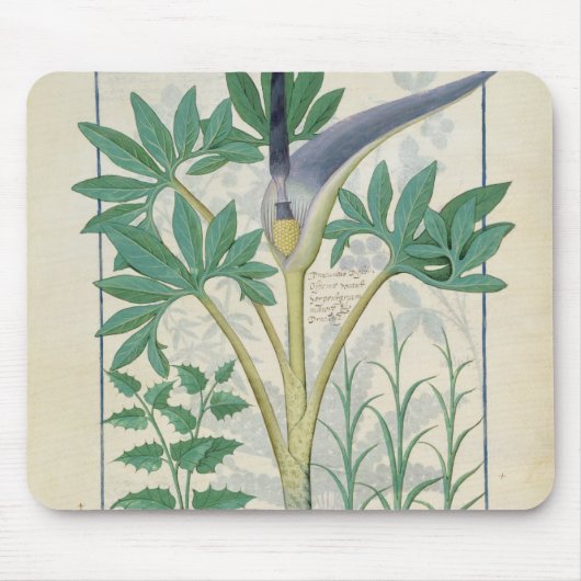Orchidee Mousepad (Vorne)