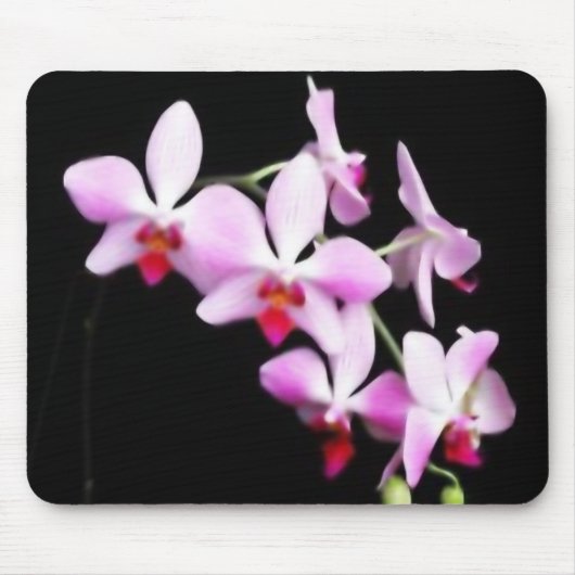 Orchidee Mousepad (Vorne)