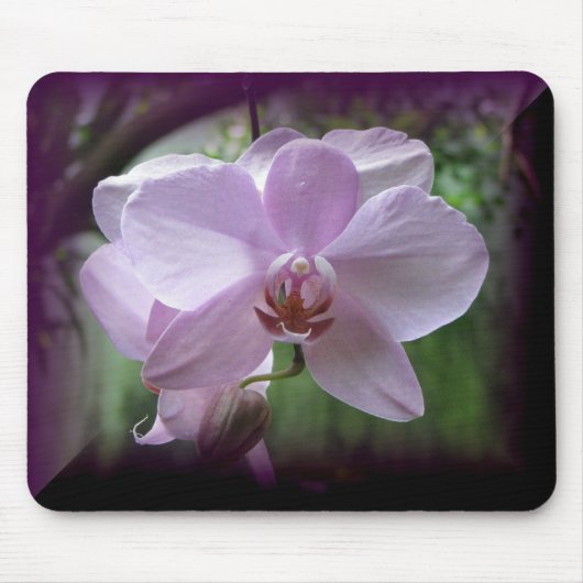 Orchidee Mousepad (Vorne)