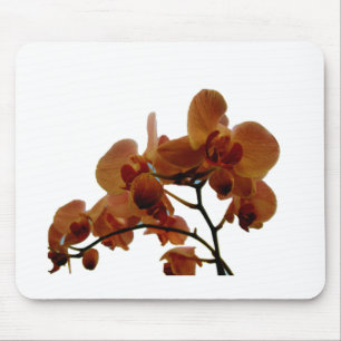 Orchidee Mousepad
