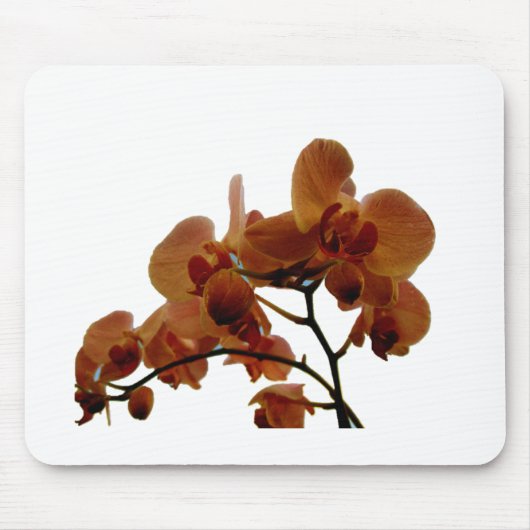 Orchidee Mousepad (Vorne)