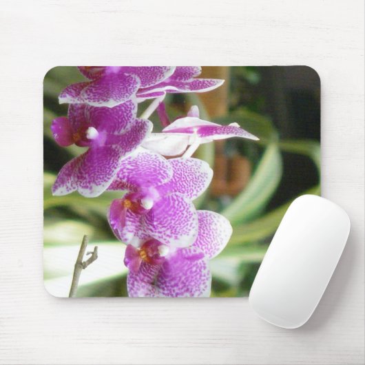Orchidee mousepad (Mit Mouse)