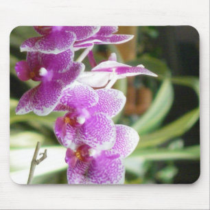 Orchidee mousepad