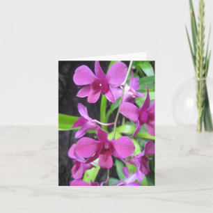 Orchidee notecard karte
