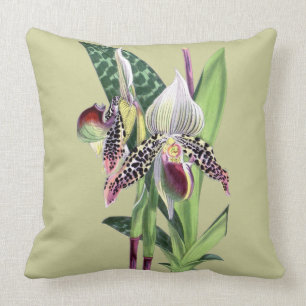 ORCHIDEE (Paphiopedilum Argus) Kissen
