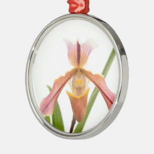 Orchidee - Passt der Pantoffel Silbernes Ornament