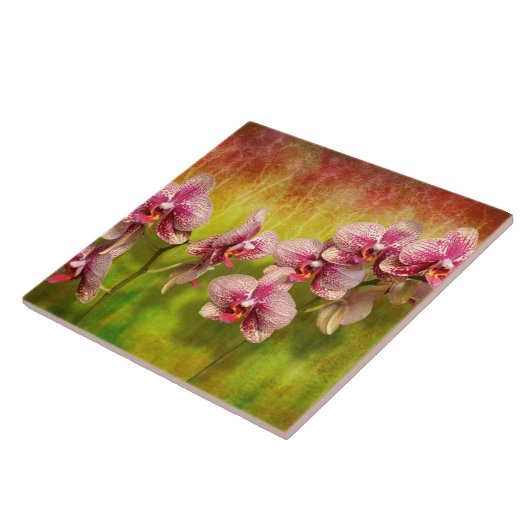 Orchidee - Phalaenopsis - einfach eine Freude Fliese (Seite)