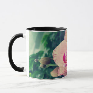 Orchidee phalaenopsis ppolka Punkt rosa Blumen flo Tasse