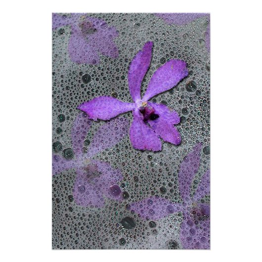 Orchidee Poster (Vorderseite)