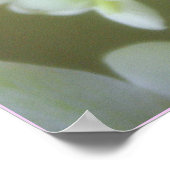 Orchidee Poster (Ecke)