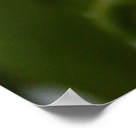 Orchidee Poster (Ecke)