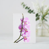 Orchidee Postkarte (Stehend Vorderseite)