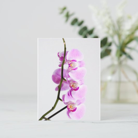 Orchidee Postkarte (Stehend Vorderseite)