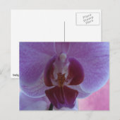 Orchidee Postkarte (Vorne/Hinten)