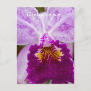 Orchidee 'Purple Passion' Grußkarte Postkarte