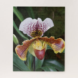 Orchidee Puzzle