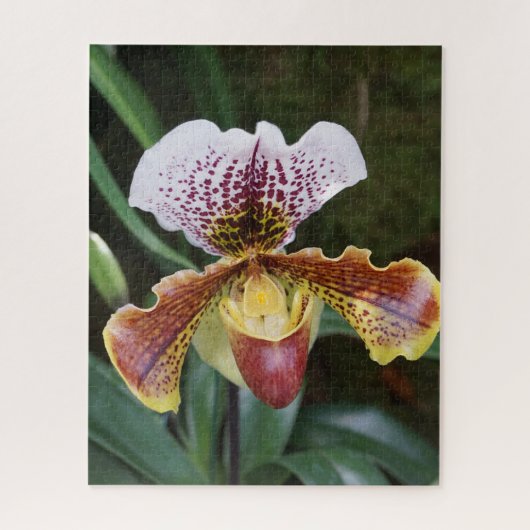 Orchidee Puzzle (Vertikal)