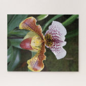 Orchidee Puzzle (Horizontal)