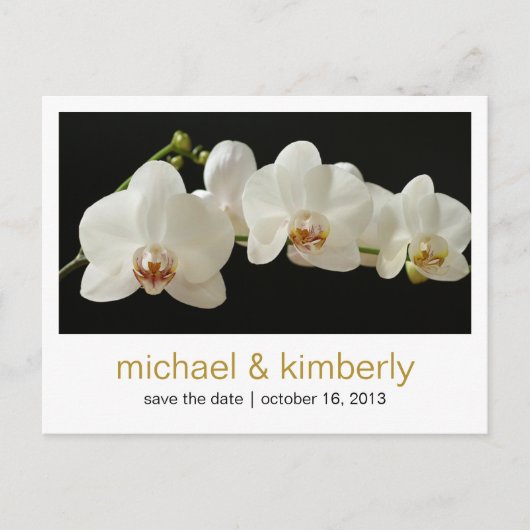 Orchidee | SAVE THE DATE Ankündigungspostkarte (Vorderseite)